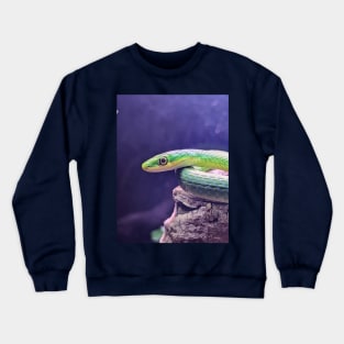 Green Python Snake Crewneck Sweatshirt